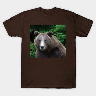 A Close Encounter T-Shirt